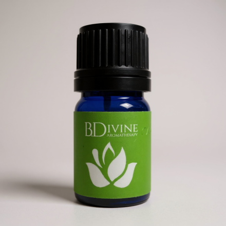 Revive Essential Oil Diffuser Blend