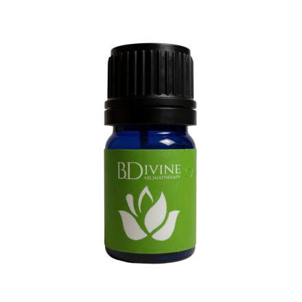 Revive Essential Oil Diffuser Blend