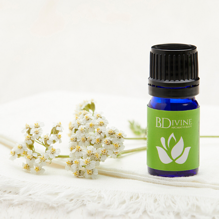 Revive Essential Oil Diffuser Blend for the home