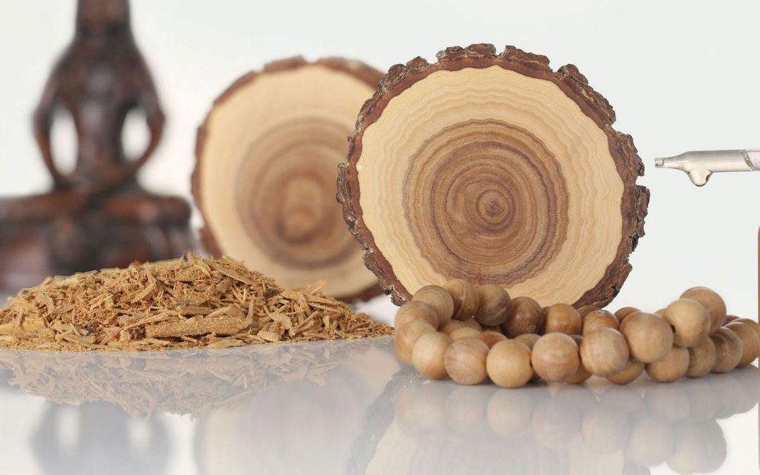 What You Should Know about Sandalwood Oil