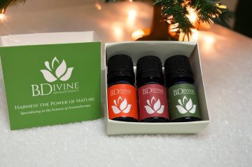 Seasonal Holiday Diffuser Blend Gift Set